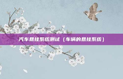 汽车悬挂系统测试(车辆的悬挂系统)