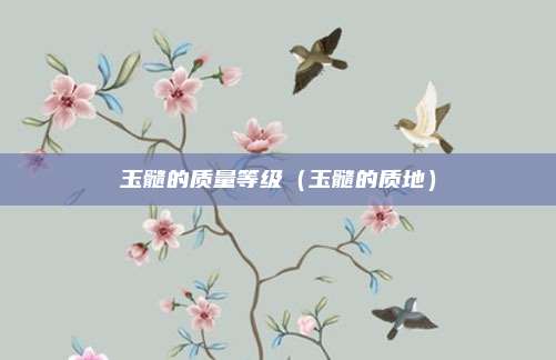 玉髓的质量等级（玉髓的质地）