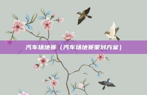 汽车场地赛（汽车场地赛策划方案）