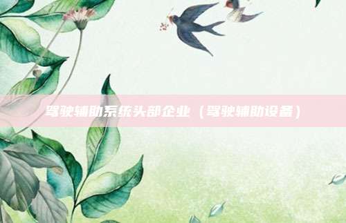驾驶辅助系统头部企业（驾驶辅助设备）