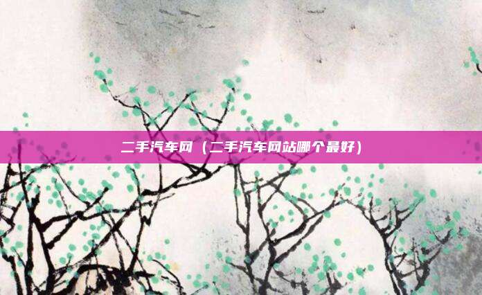 二手汽车网（二手汽车网站哪个最好）