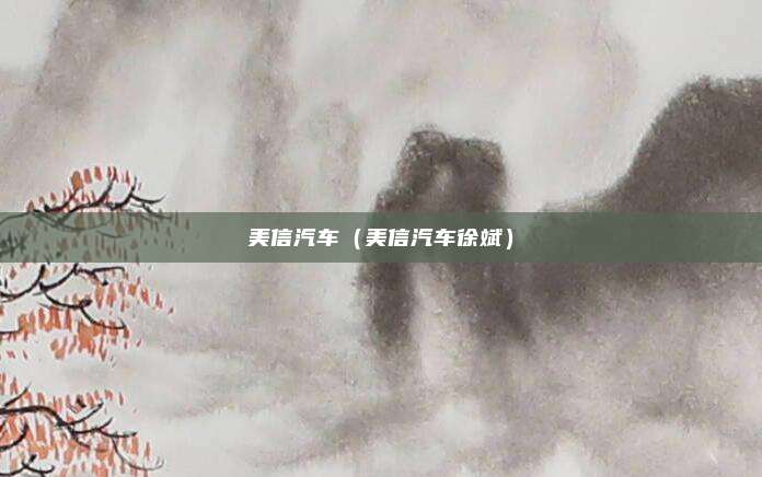 美信汽车（美信汽车徐斌）