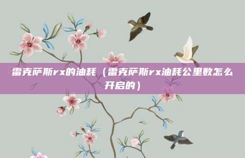 雷克萨斯rx的油耗（雷克萨斯rx油耗公里数怎么开启的）