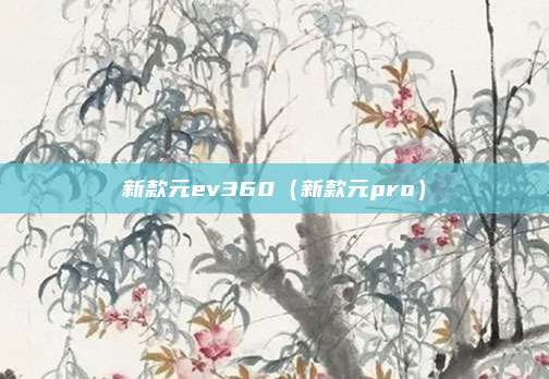 新款元ev360（新款元pro）