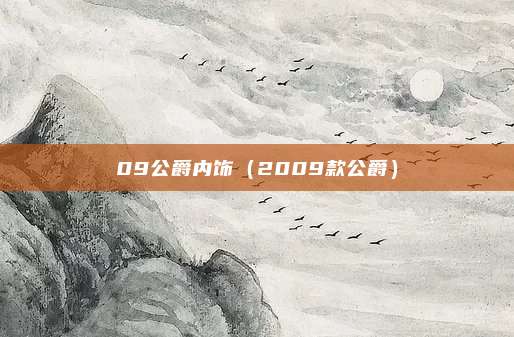 09公爵内饰（2009款公爵）