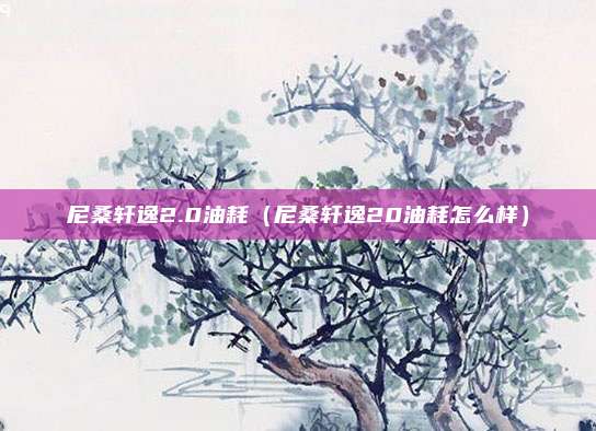 尼桑轩逸2.0油耗(尼桑轩逸20油耗怎么样)