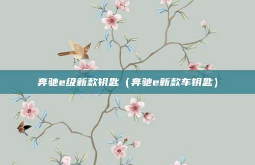 奔驰e级新款钥匙（奔驰e新款车钥匙）