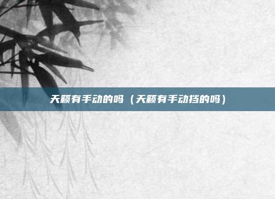 天籁有手动的吗（天籁有手动挡的吗）