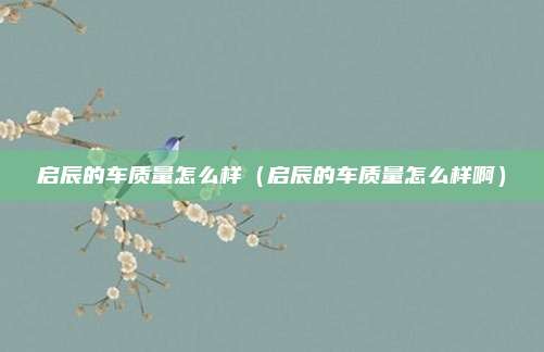 启辰的车质量怎么样（启辰的车质量怎么样啊）