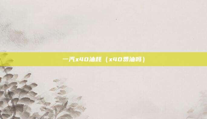 一汽x40油耗（x40费油吗）