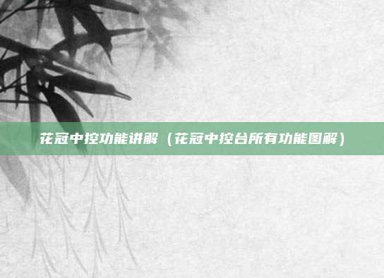 花冠中控功能讲解(花冠中控台所有功能图解)