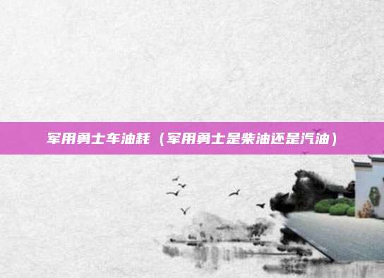 军用勇士车油耗（军用勇士是柴油还是汽油）