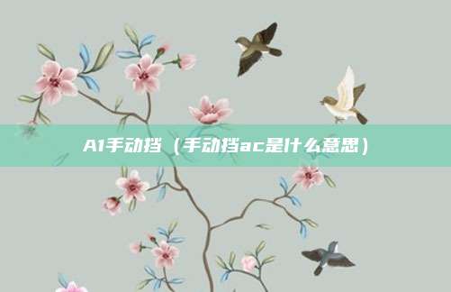 A1手动挡(手动挡ac是什么意思)