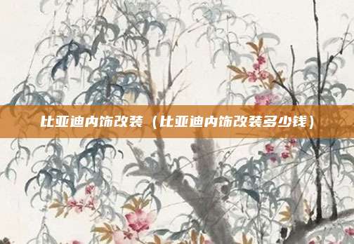 比亚迪内饰改装(比亚迪内饰改装多少钱)