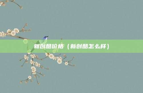 新创酷价格(新创酷怎么样)