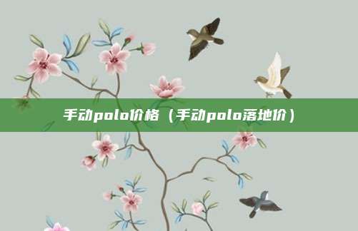 手动polo价格（手动polo落地价）