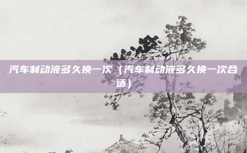 汽车制动液多久换一次（汽车制动液多久换一次合适）