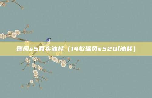 瑞风s5真实油耗(14款瑞风s520l油耗)