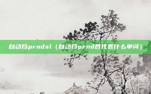自动挡prndsl（自动挡prnd各代表什么单词）