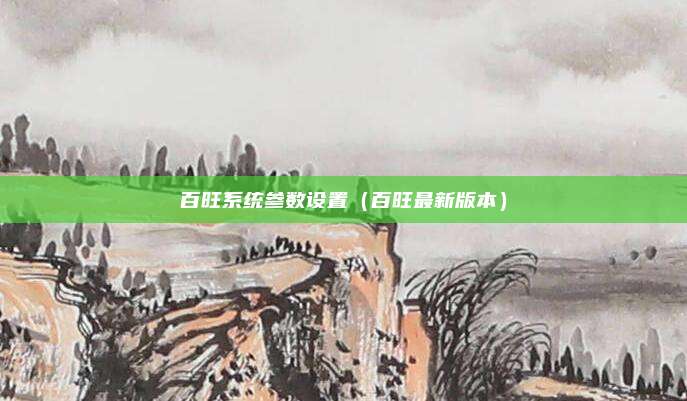 百旺系统参数设置（百旺最新版本）