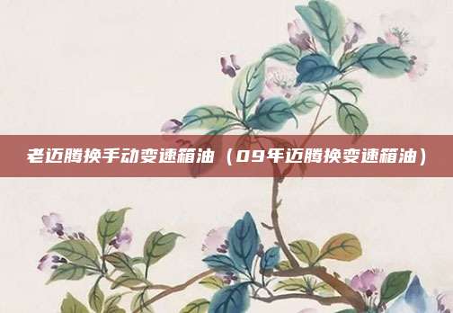 老迈腾换手动变速箱油（09年迈腾换变速箱油）