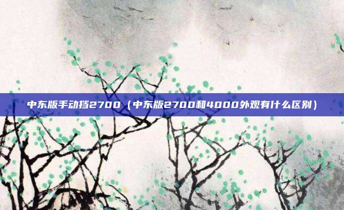 中东版手动挡2700(中东版2700和4000外观有什么区别)