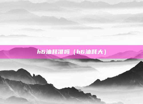 h6油耗准吗(h6油耗大)