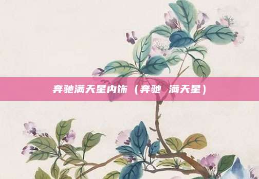 奔驰满天星内饰（奔驰 满天星）