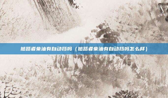 撼路者柴油有自动挡吗（撼路者柴油有自动挡吗怎么样）