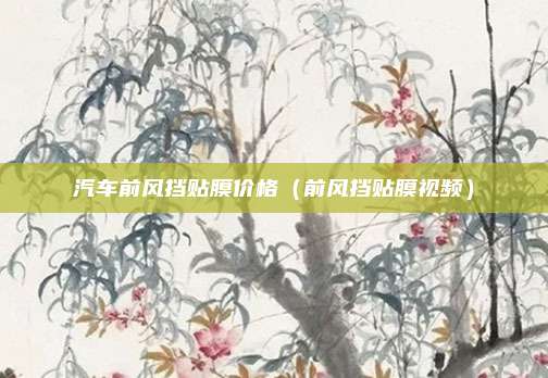 汽车前风挡贴膜价格（前风挡贴膜视频）