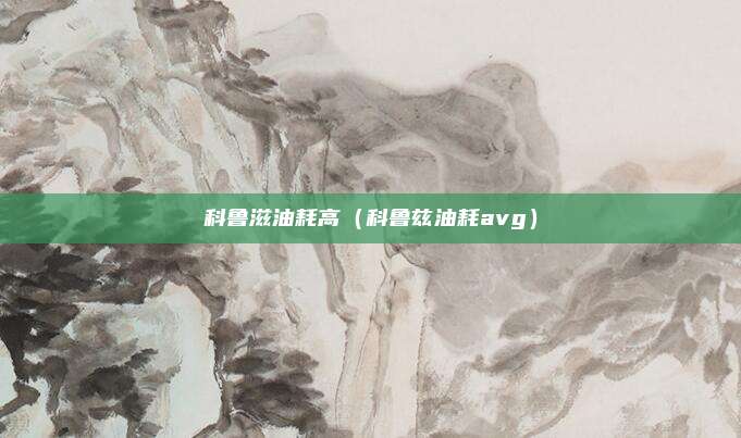 科鲁滋油耗高（科鲁兹油耗avg）
