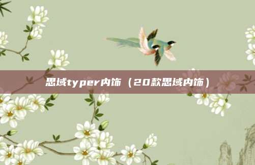 思域typer内饰（20款思域内饰）