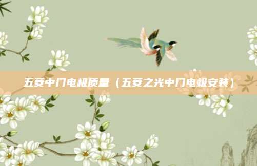 五菱中门电极质量（五菱之光中门电极安装）