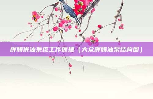 辉腾供油系统工作原理（大众辉腾油泵结构图）