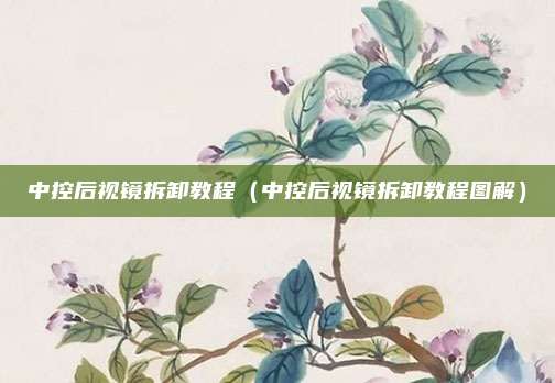 中控后视镜拆卸教程（中控后视镜拆卸教程图解）