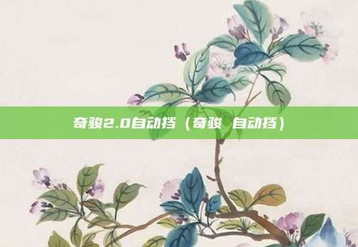 奇骏2.0自动挡（奇骏 自动挡）