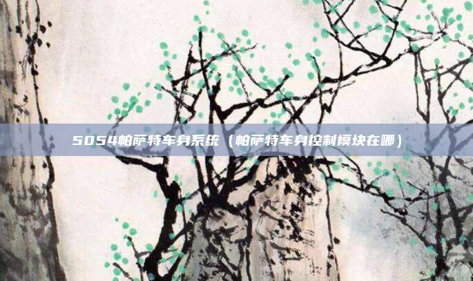 5054帕萨特车身系统（帕萨特车身控制模块在哪）