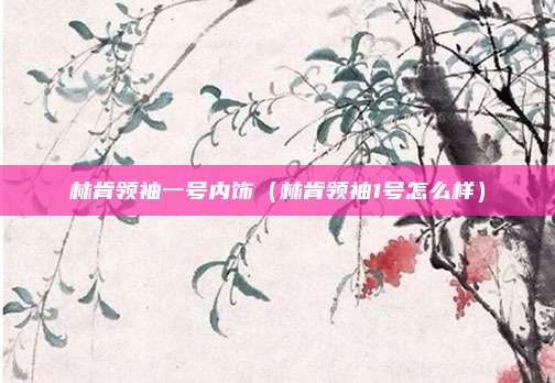 林肯领袖一号内饰（林肯领袖1号怎么样）