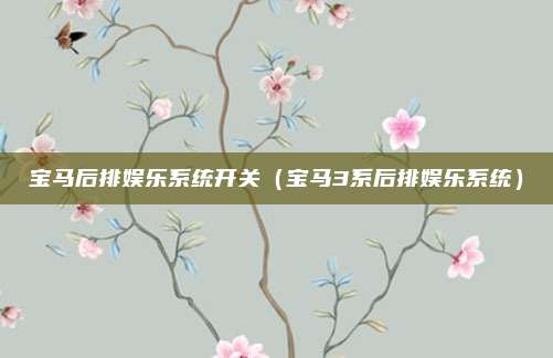 宝马后排娱乐系统开关（宝马3系后排娱乐系统）