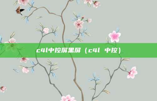 c4l中控屏黑屏（c4l 中控）