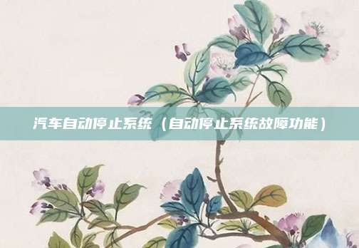 汽车自动停止系统(自动停止系统故障功能)
