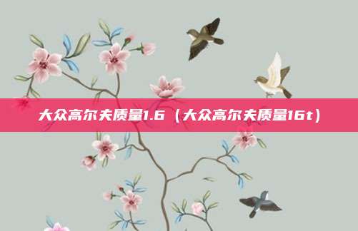 大众高尔夫质量1.6(大众高尔夫质量16t)