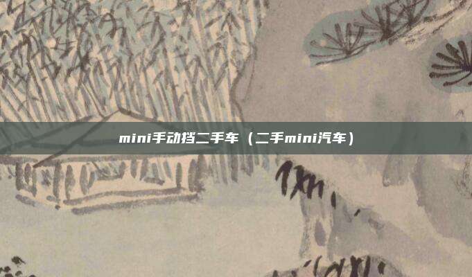 mini手动挡二手车(二手mini汽车)