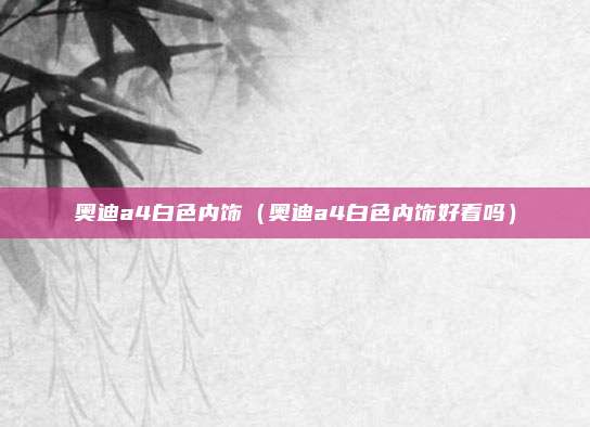 奥迪a4白色内饰（奥迪a4白色内饰好看吗）