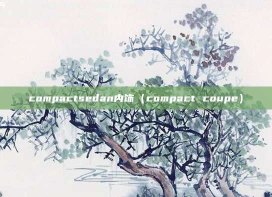 compactsedan内饰（compact coupe）