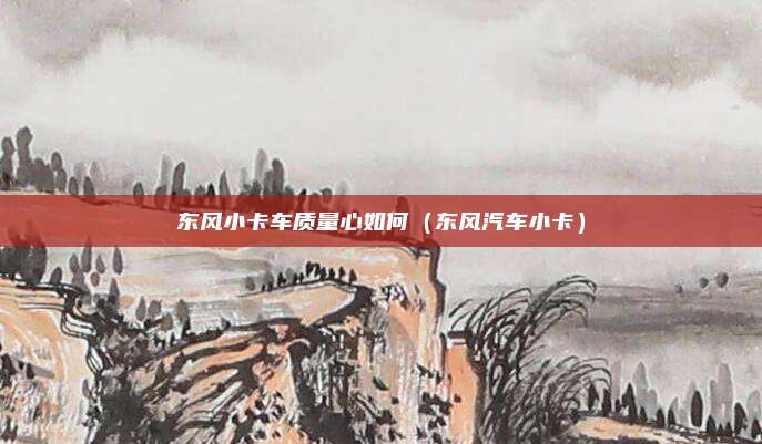 东风小卡车质量心如何（东风汽车小卡）