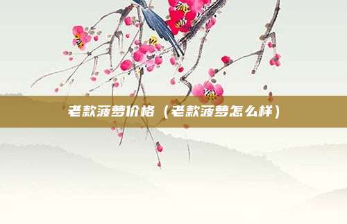 老款菠萝价格（老款菠萝怎么样）