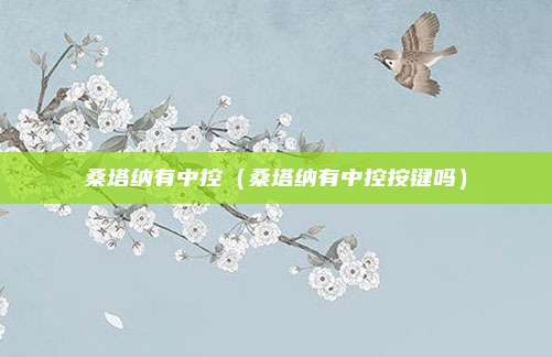 桑塔纳有中控（桑塔纳有中控按键吗）