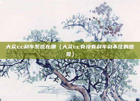 大众cc刹车系统在哪（大众cc有没有刹车刹不住的感觉）