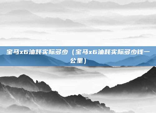 宝马x6油耗实际多少（宝马x6油耗实际多少钱一公里）